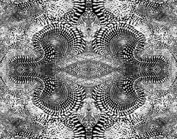 2CD Nektar: 2004 Tour Live