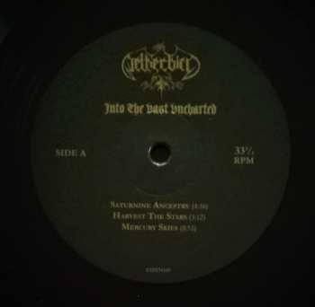 LP Netherbird: Into The Vast Uncharted