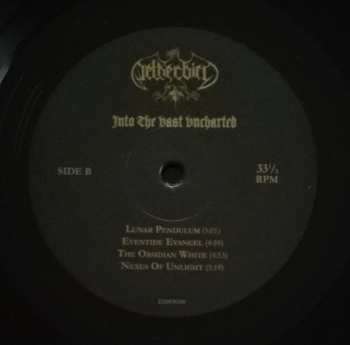 LP Netherbird: Into The Vast Uncharted