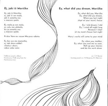 CD Nina Berglová: Inou Krajinou