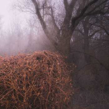 LP The Devil's Trade: Nincs szennyezetlen szép