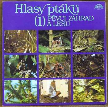 Album No Artist: Hlasy Ptáků 1 - Pěvci Zahrad A Lesů