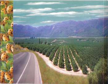 CD No Doubt: Tragic Kingdom