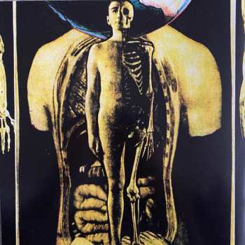 2LP Nocturnal Emissions: Cathedral CLR | LTD