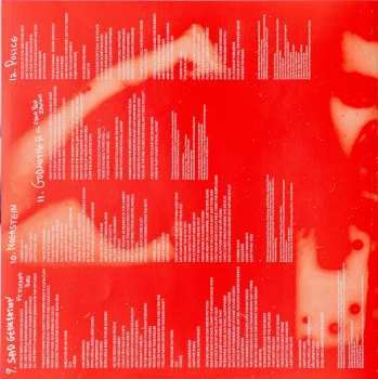 LP Noga Erez: The Vandalist