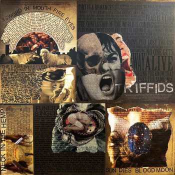 LP Norma Jean: Wrongdoers CLR | LTD