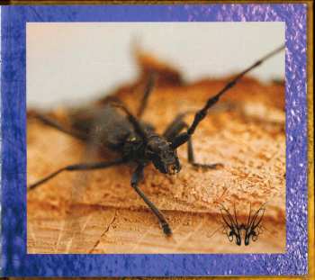 2CD Nothing But Noise: Not Bleeding Red