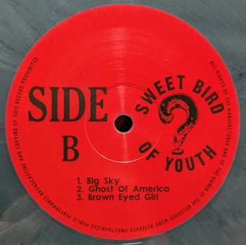 2LP Nuisance: Terminal Fuckups