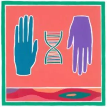 Numa Gama: Me Redesenho