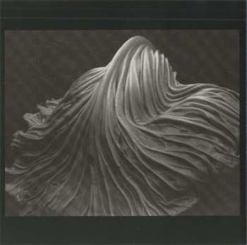 CD Of Cabbages And Kings: Basic Pain Basic Pleasure