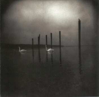 Album Om: Conference Of The Birds