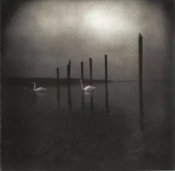 Conference Of The Birds