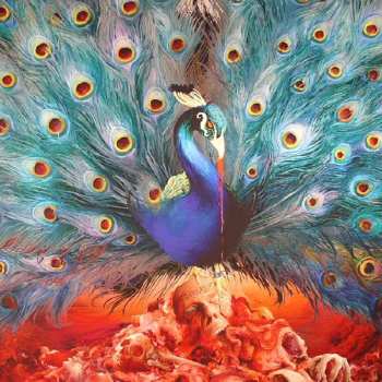 2LP/2CD/DVD/Zestaw pudełkowy Opeth: Sorceress LTD | DIGI