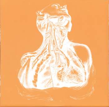 2LP Orbital: Orbital (Brown Album)