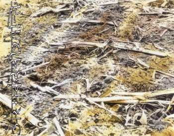 CD Our Lady Peace: Naveed