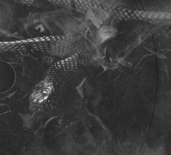 CD Ozzy Osbourne: Ordinary Man DLX