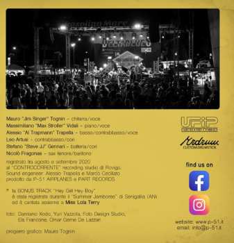 CD P-51 Airplanes: Flying Hits