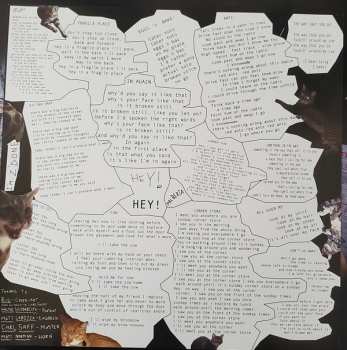 LP Palberta: Palberta5000 CLR