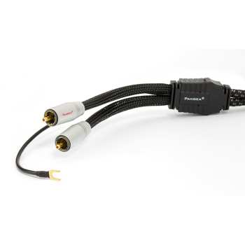 Technologia audio Pangea Premier Xl Phono 1,25m