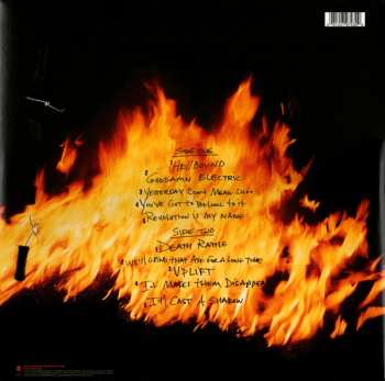 LP Pantera: Reinventing The Steel