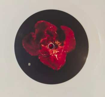 LP Parquesvr: Si No Fuera Por Estos Momentos, Ser​í​a Por Otros CLR