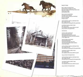 2CD Passenger: Runaway DLX | LTD