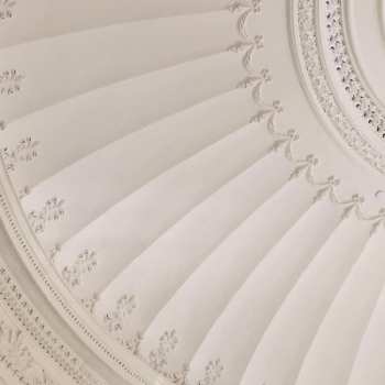 LP Patio: Essentials CLR | LTD