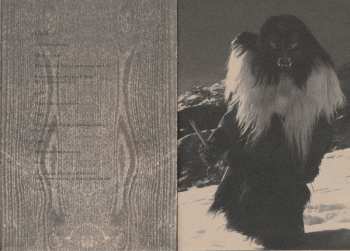 CD Paysage D'Hiver: Geister DIGI