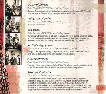 CD Peatbog Faeries: Dust