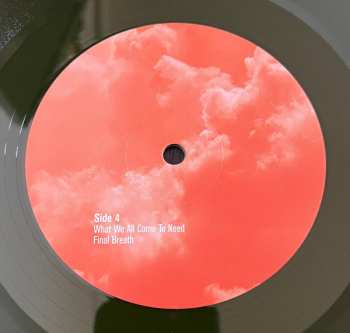 2LP Pelican: What We All Come to Need