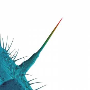 Album Peter Gabriel: And I'll Scratch Yours