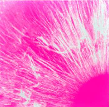 4LP/2CD/Zestaw pudełkowy/Blu-ray Peter Gabriel: I/O DLX | LTD