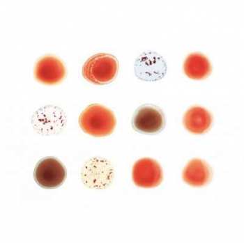 Album Peter Gabriel: Scratch My Back / And I'll Scratch Yours