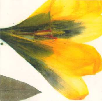 CD Photon Band: Oh, The Sweet, Sweet Changes