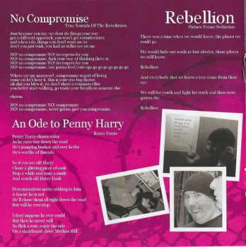 CD Picture Frame Seduction: Skateboarding Down Merlins Hill With Penny Harry