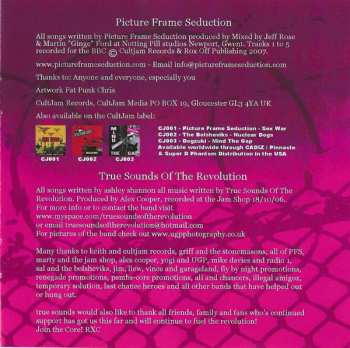 CD Picture Frame Seduction: Skateboarding Down Merlins Hill With Penny Harry