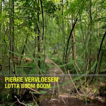 Album Pierre Vervloesem: Lotta Boom Boom