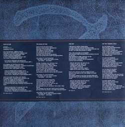 LP Pink Floyd: A Momentary Lapse Of Reason