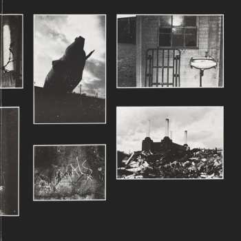 LP Pink Floyd: Animals