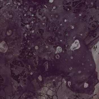 Album Pinkish Black: Razed To The Ground