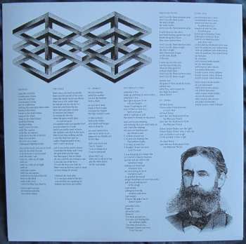 LP Plain Ride: Skeleton Kites LTD | CLR