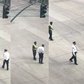 Nový Zprávy Žádný 