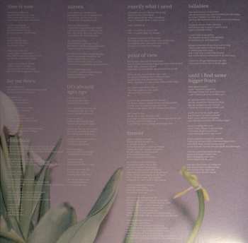 LP Portland: Champain CLR