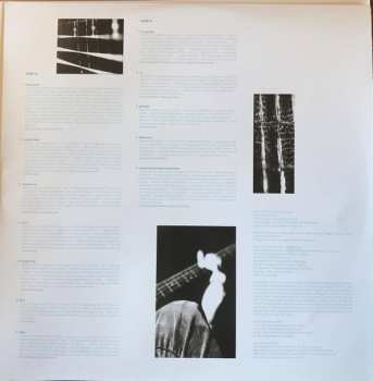 LP Powderfinger: Double Allergic CLR