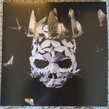 2LP Princess Goes To The Butterfly Museum: Come Of Age CLR