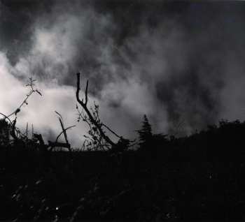 CD Process Of Guilt: Black Earth