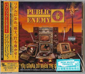 CD Public Enemy: What You Gonna Do When The Grid Goes Down?