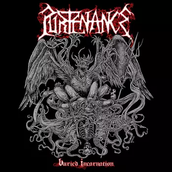 Purtenance: Buried Incarnation