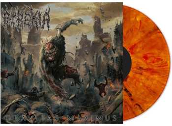 LP Pyrexia: Gravitas Maximus LTD