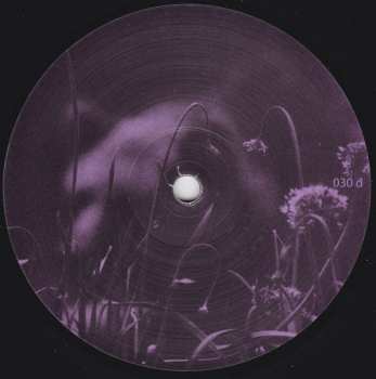 2LP Quantec: Unusual Signals